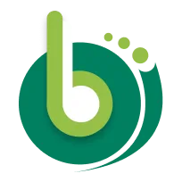 Brisk Developers Certified Shopify Experts